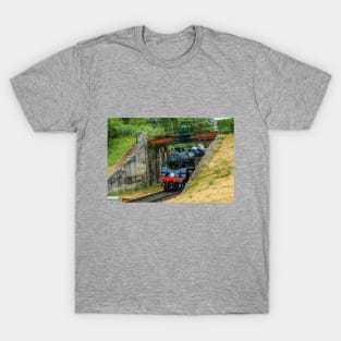 Under the Bridge T-Shirt